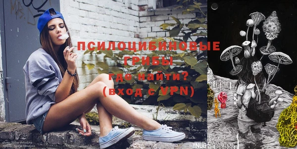2c-b Алзамай