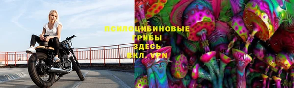 тгк Алексеевка