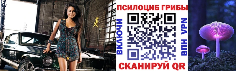 Псилоцибиновые грибы Cubensis Кореновск